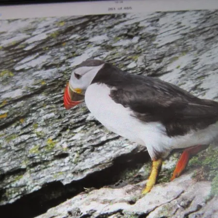 Bed & Breakfast Ocean View *